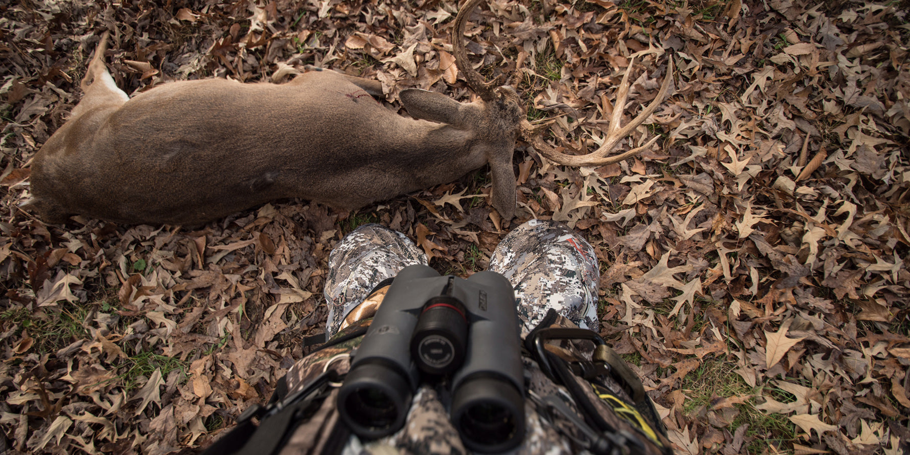 Phenom ED Binoculars Deer Hunting