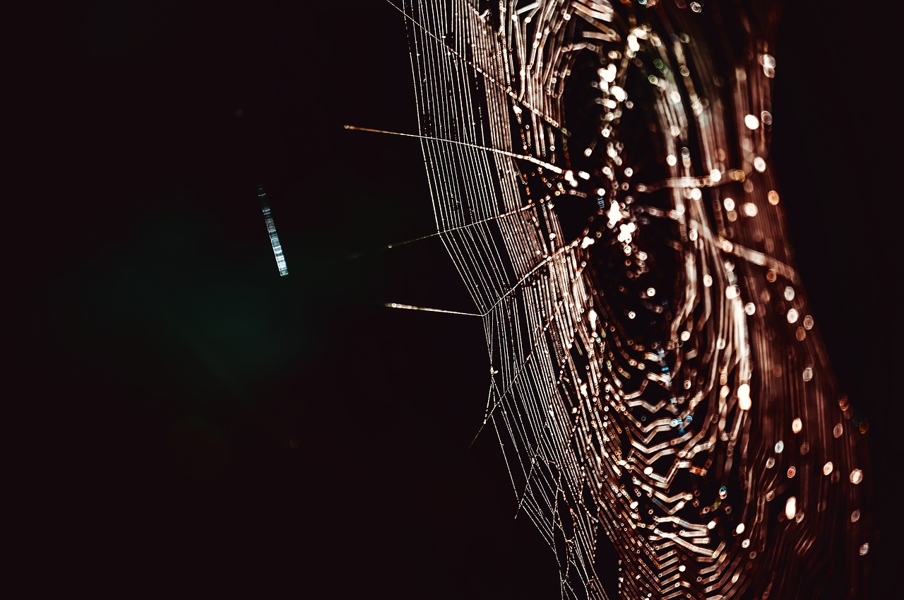 a spider web - plenty of possible reticles in there!