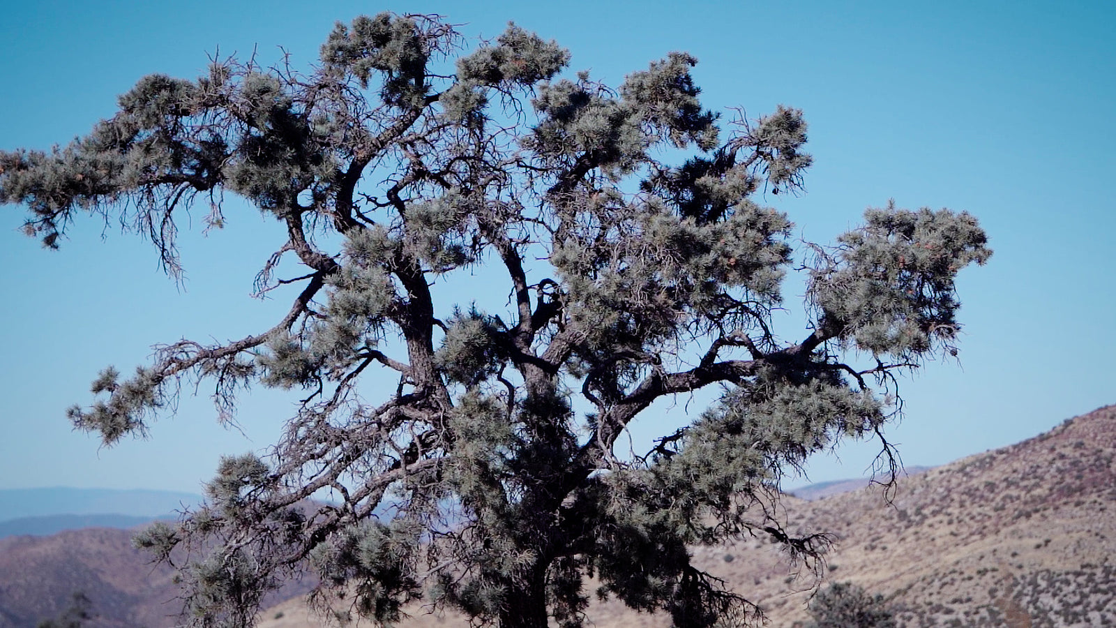 How to Judge Wind Visually