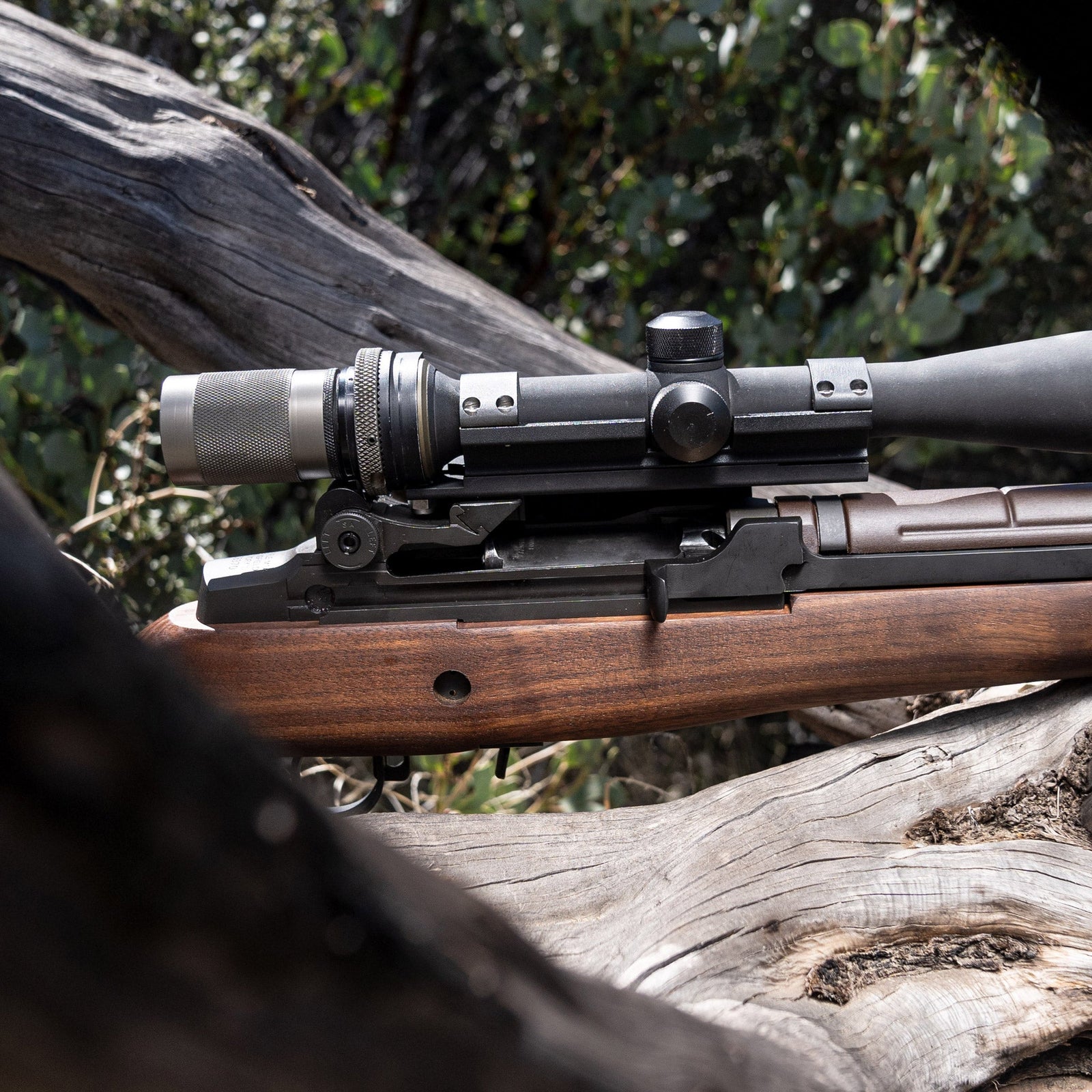 Newsletter - March 2025