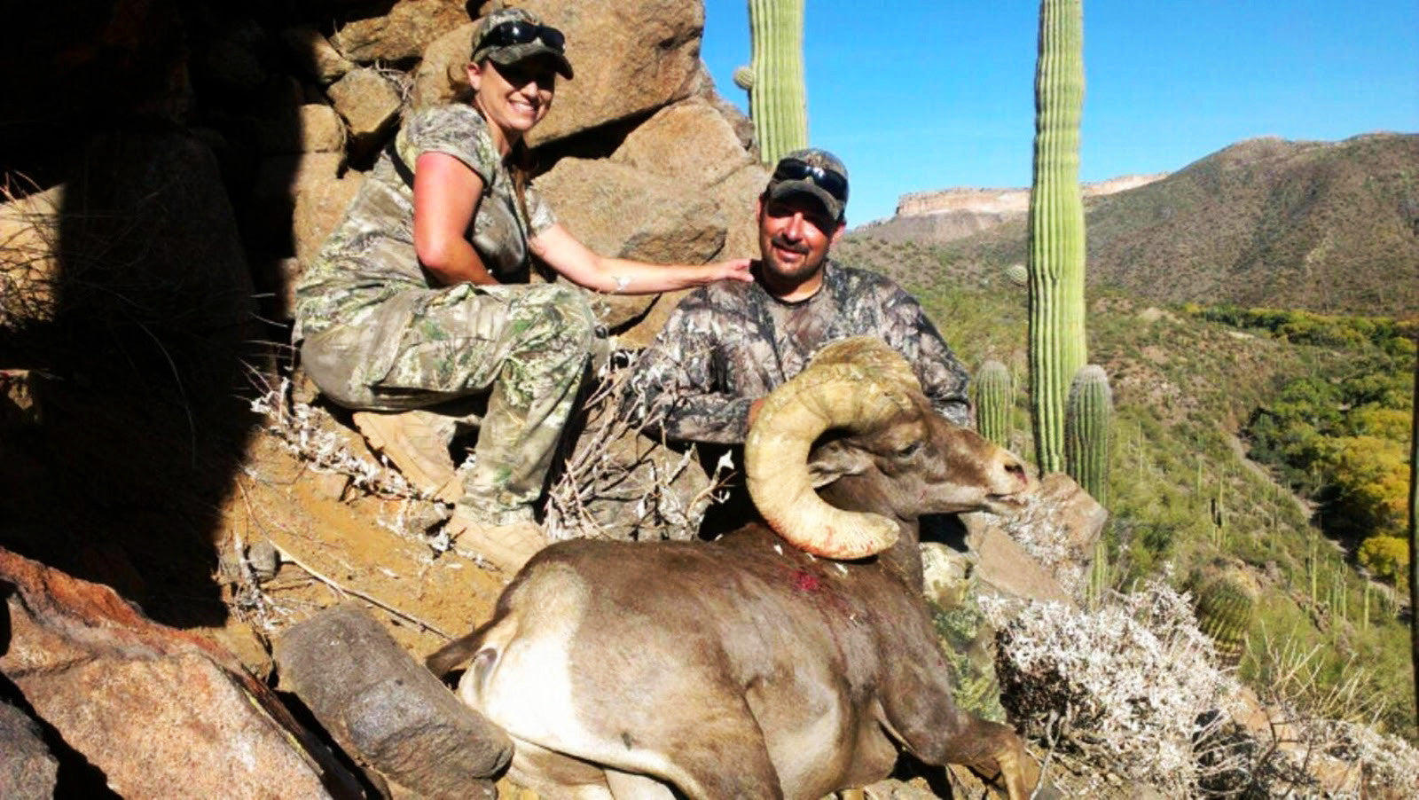 two people in camo crouch over a large horned animal in the desert