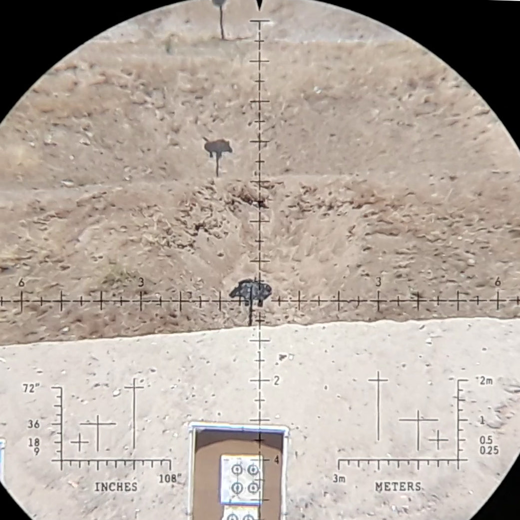 A view through the M1200 reticle