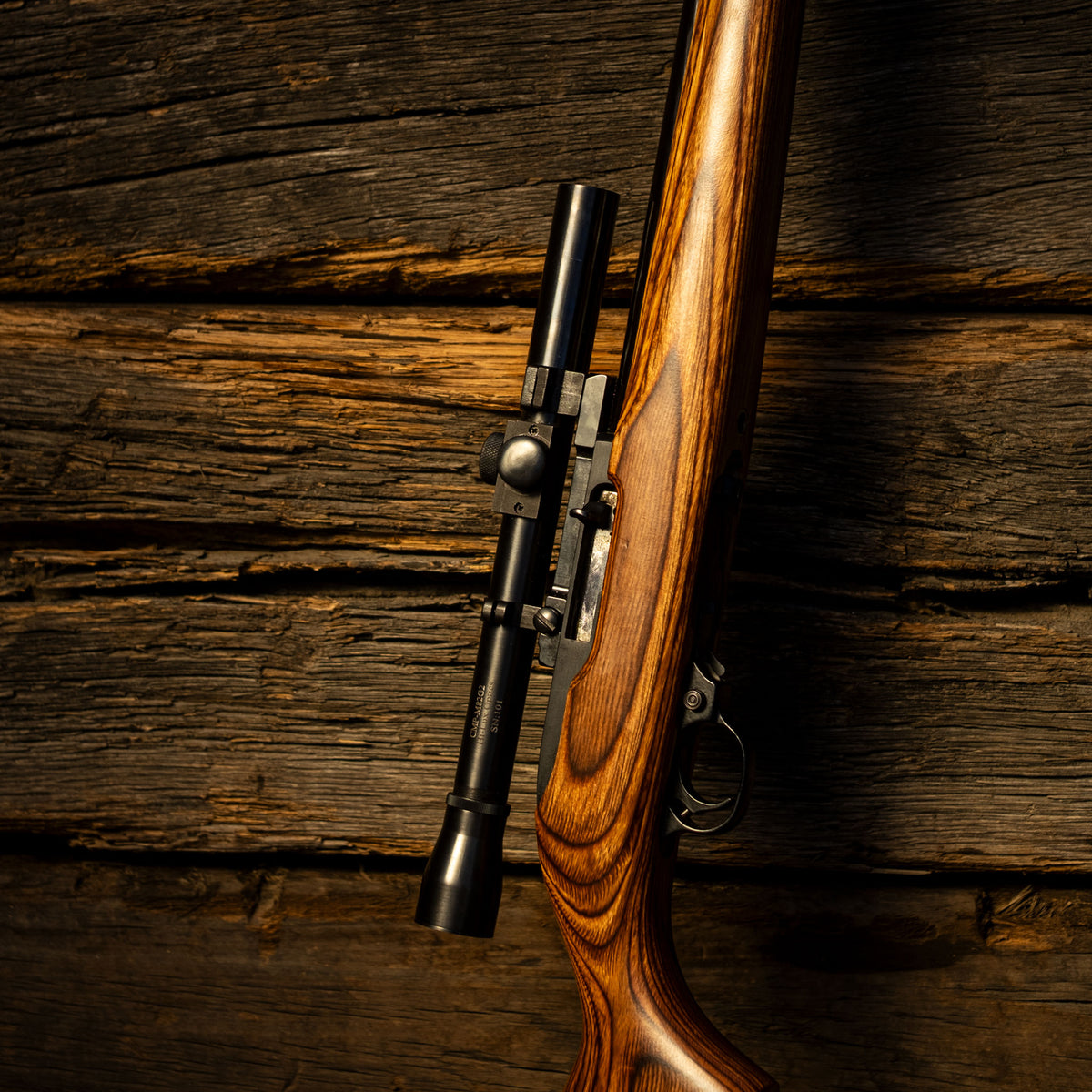 A ruger 10-22 and M82 scope paired together