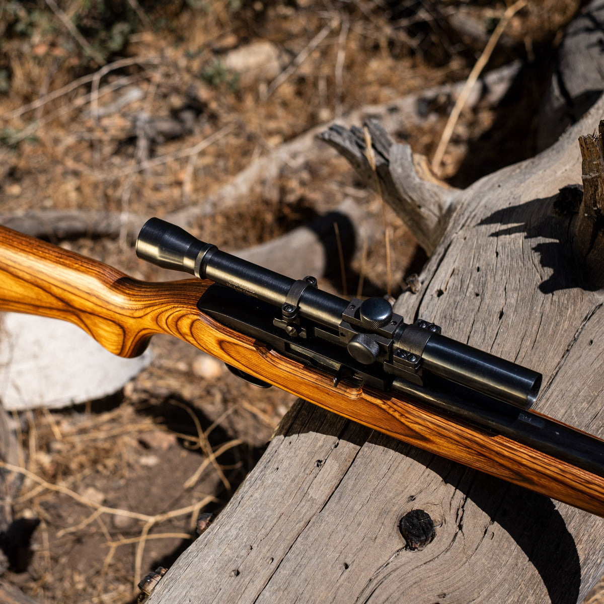 M82G2 scope mounted on top of Ruger 10/22
