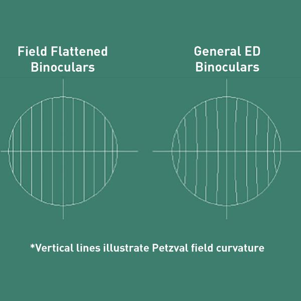 Field Flattener Lens Description