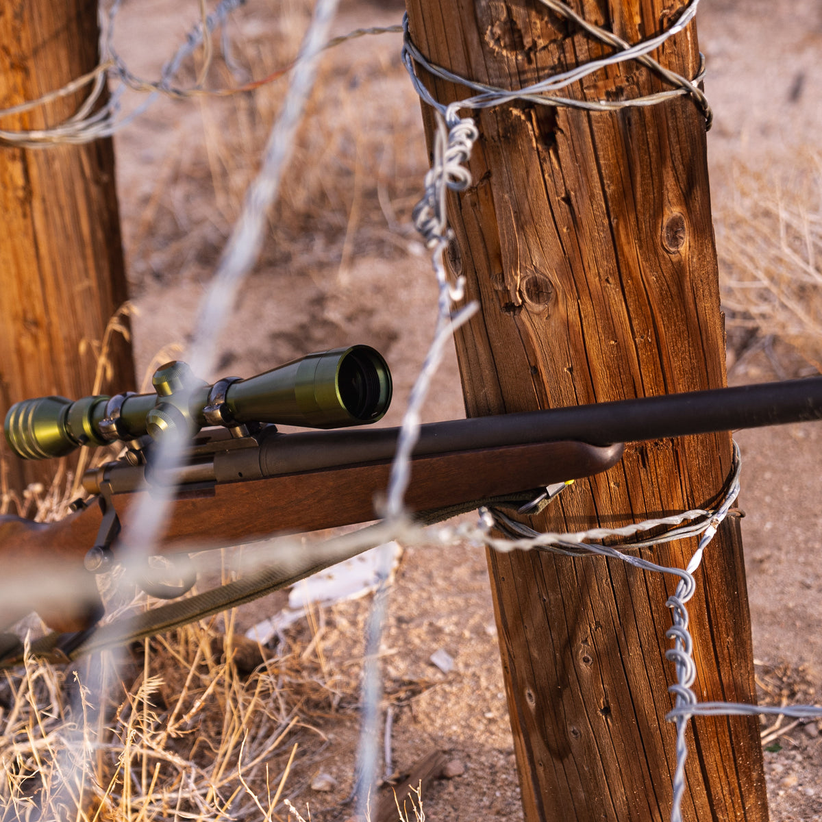 A green M40 Mk2 scope on a Remington 700 in the desert