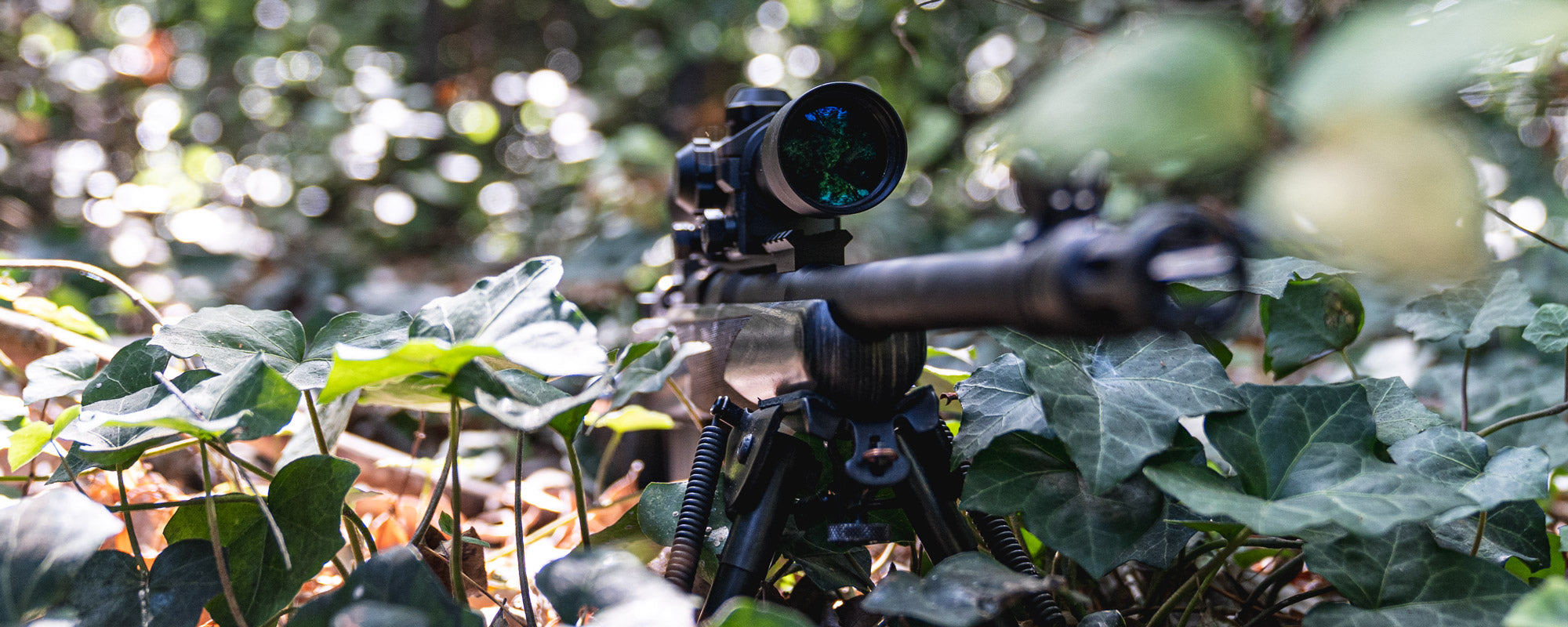 Scout rifle and LER 2-7 scope down on the forest floor